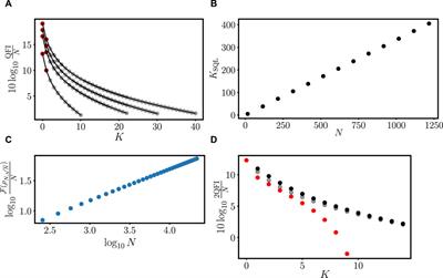 Globally optimal interferometry with lossy twin Fock probes